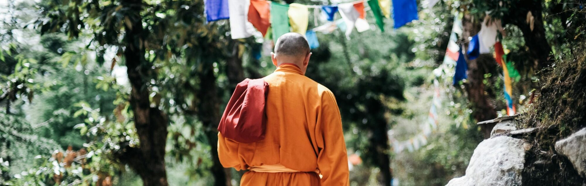 Monk walks in nature